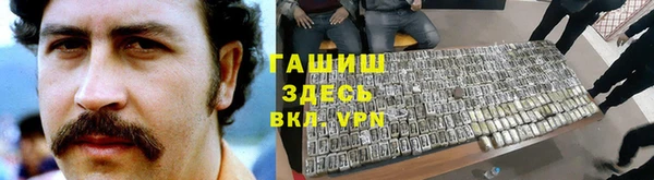 прущие грибы Балабаново