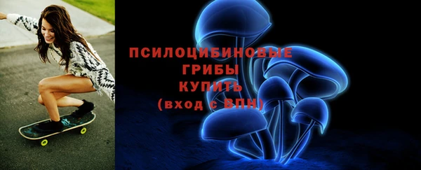 прущие грибы Балабаново