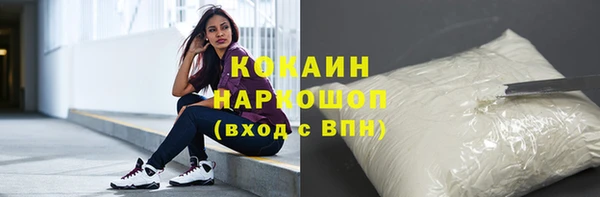 прущие грибы Балабаново
