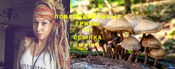 прущие грибы Балабаново